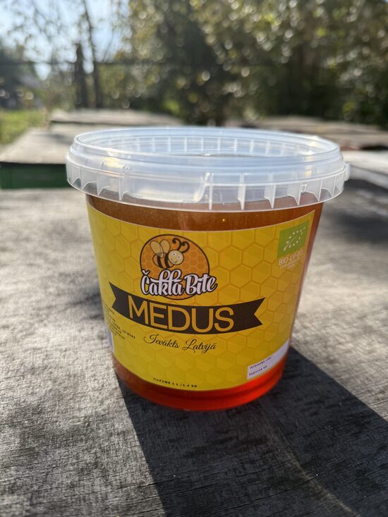 Griķu medus 2025